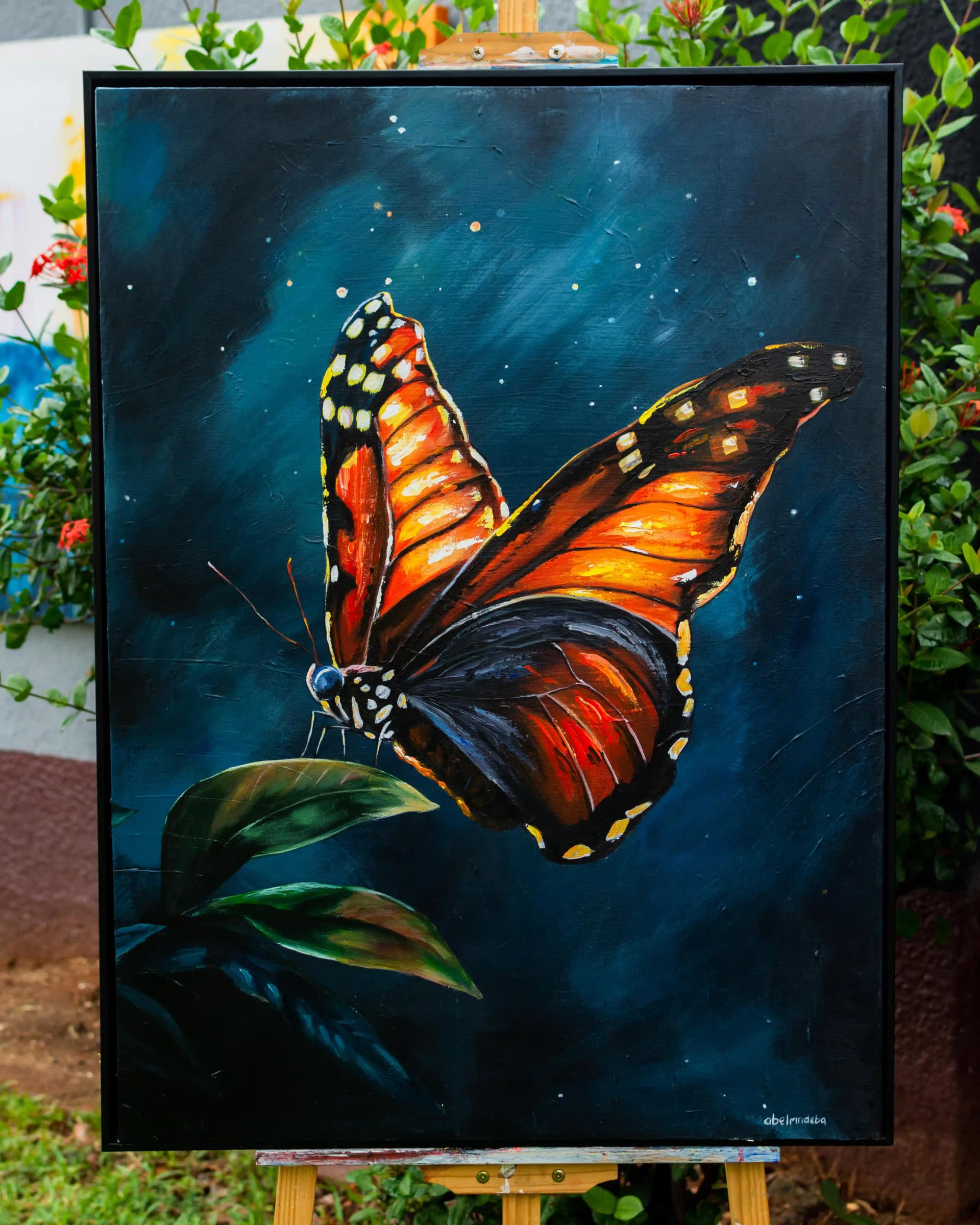 Butterfly by Abel Mndeba - View 1