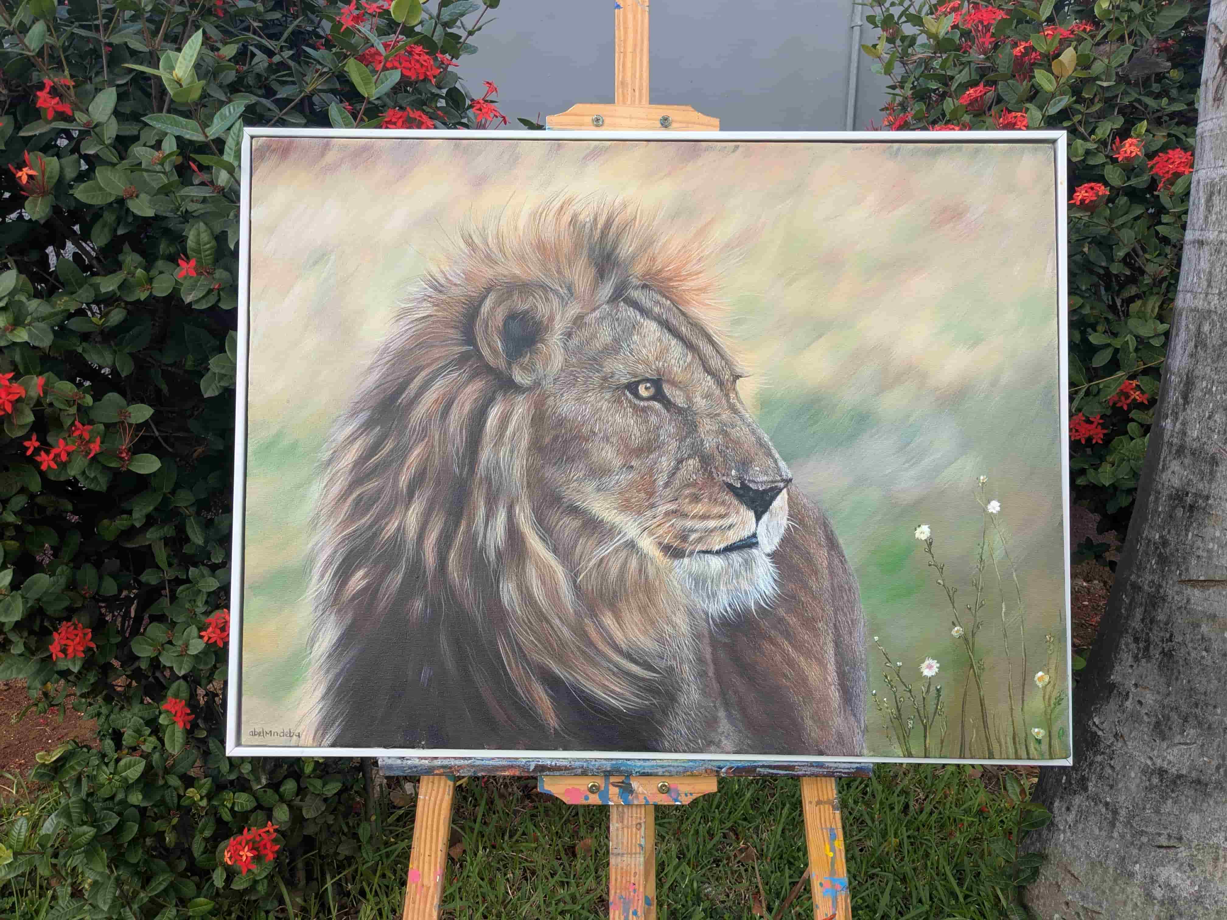Lion moment by Abel Mndeba - View 1