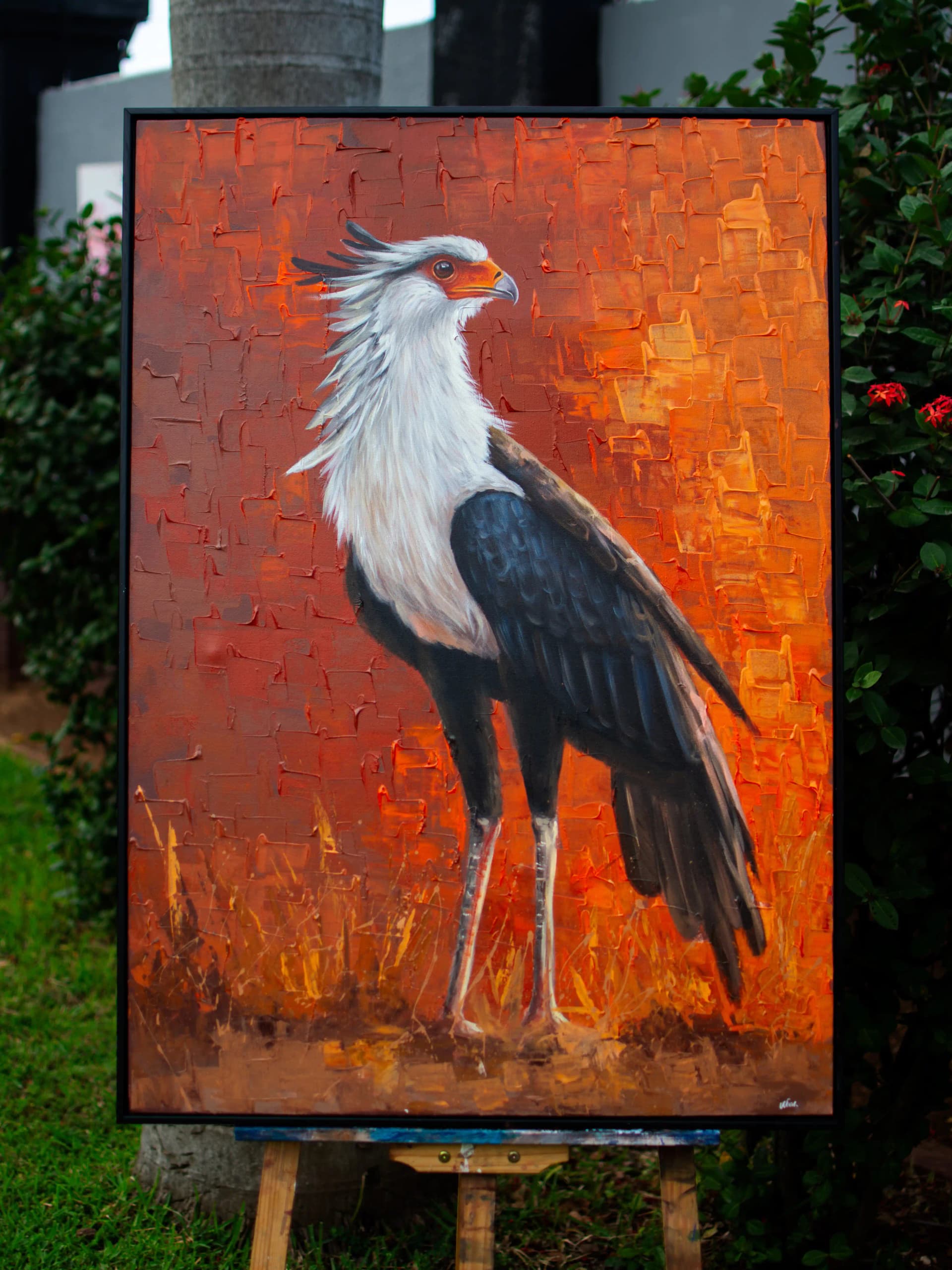 Wings of Africa (The Secretary Bird) by Michael Wenc - View 1
