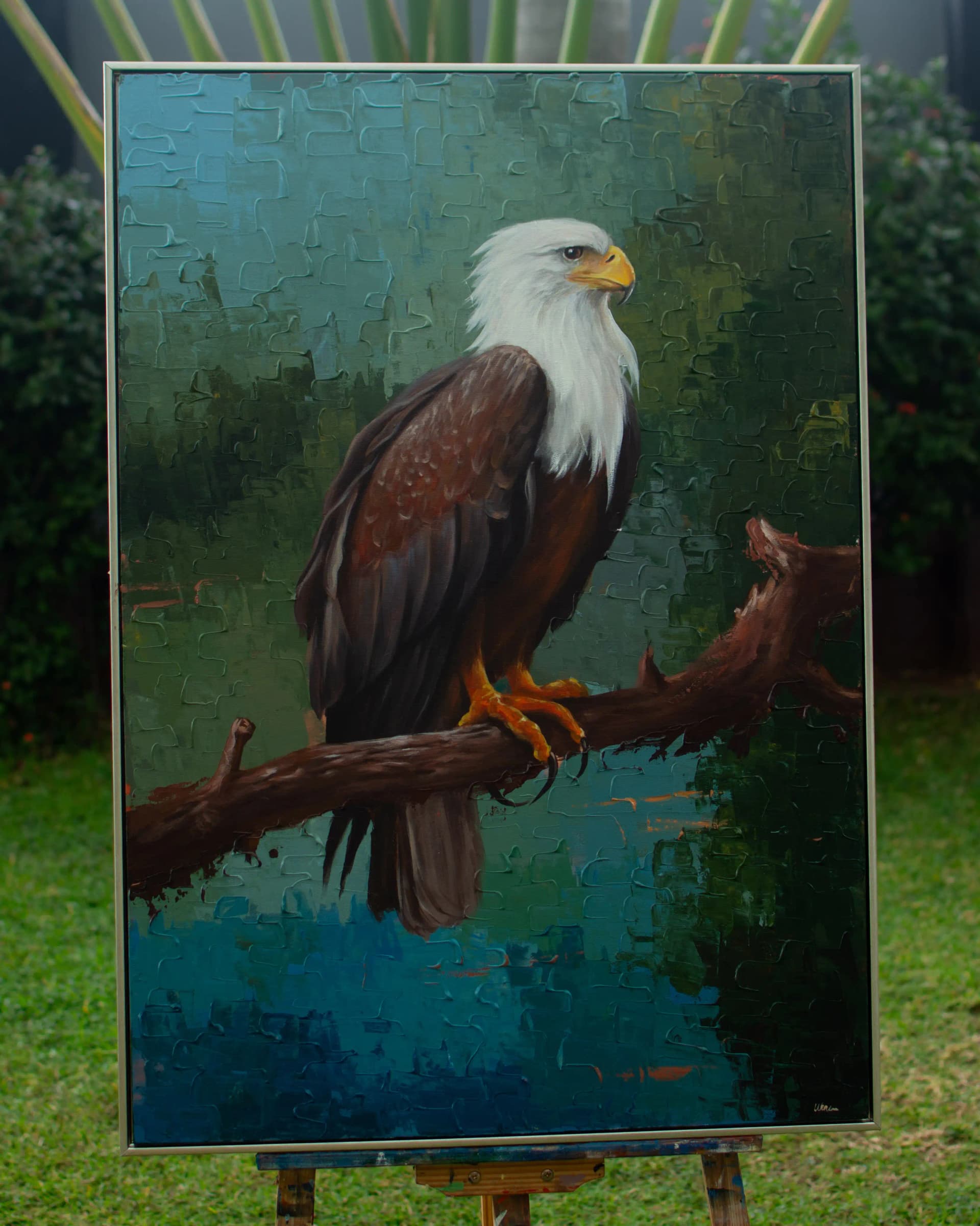 Wings of Africa (African Fish Eagle) by Michael Wenc - View 1